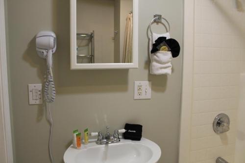 Gatlinburg Chateau 3B - image 11