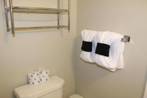 Gatlinburg Chateau 3B - image 12