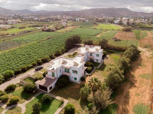 Divina by Checkin - image 12