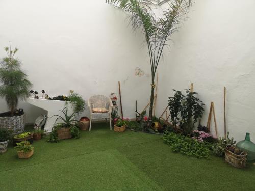  Casa Antoda in Puerto de la Cruz