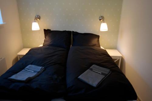 1 queen bed, 1 twin bed, 1 sofa bed