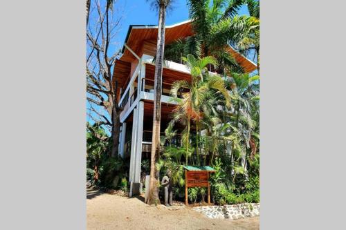 Entire Nosara Tree House
