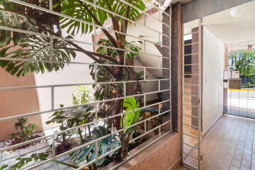 Suite Ubicadisima Zona Residencial Los Arcos 3 Recamaras 102 Cortijo