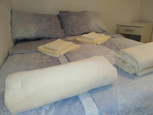 Apartman Sky Banja Vrujci - image 8