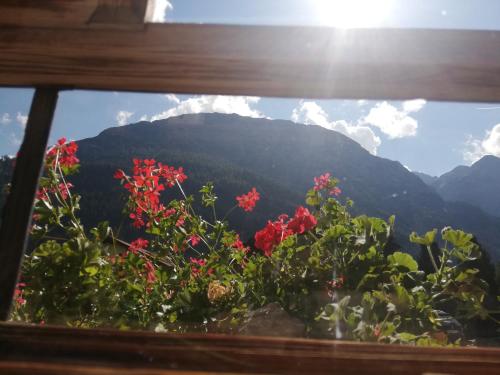 Bauernhaus Ramona in Holzgau