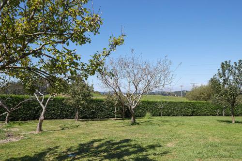 Casa Rural La Palmera - Landetxea