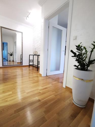 Luxury Apartment with a stunning view - image 4