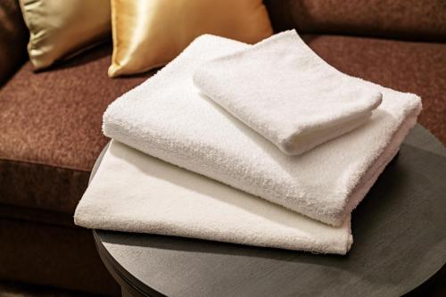Villa Fontaine Grand Tokyo Ariake, Tokio (Foto 6)