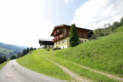 Almliesl TAXE-398 in Taxenbach, Österreich