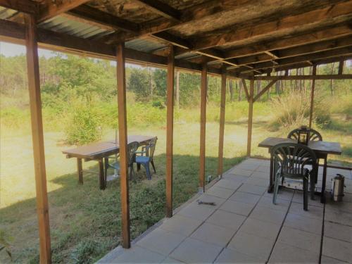 Cuckoo Lake Forest Cabin