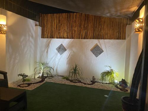 flower of life, Cancún (Foto 3)