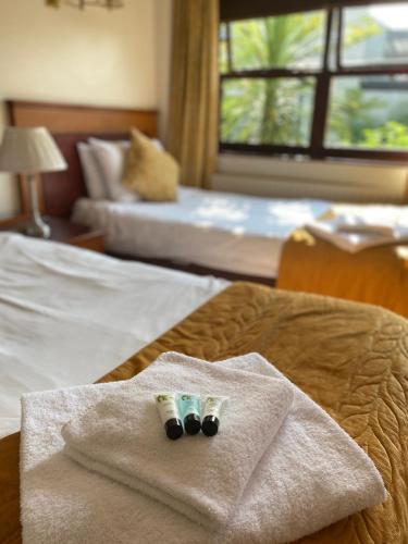 The Whistle and Flute - image 2