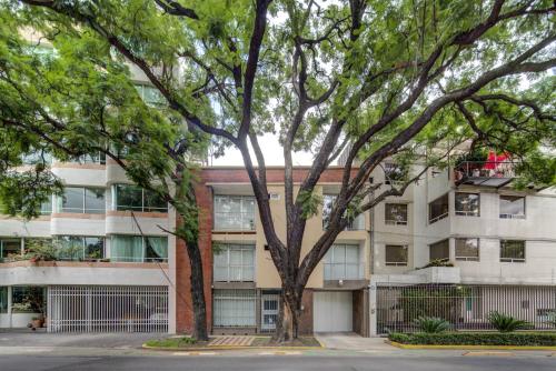 奥拉西奥1525号国王集团公寓 奥拉西奥1525号国王集团公寓