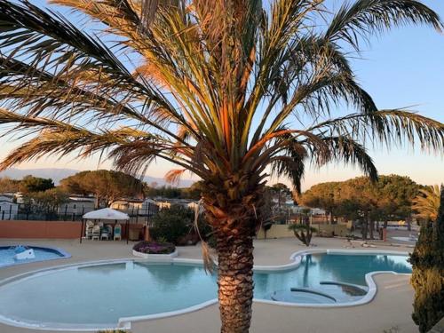 Bungalow - Camping - Canet-en-Roussillon