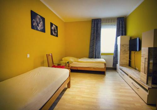 Ringeltaube – Wohnen wie zu Hause - image 4