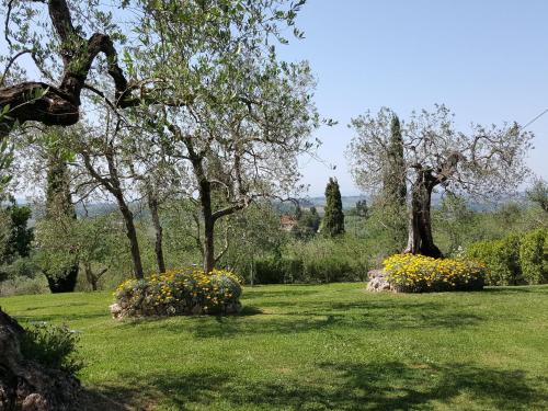 Beautiful Farmhouse in Castelfiorentino with Garden