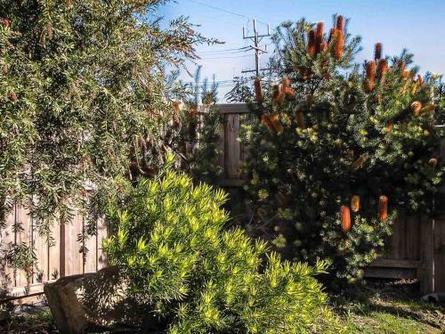 Holiday Home image 8