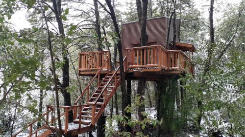 Domos Entre Bosques – Malalcahuello