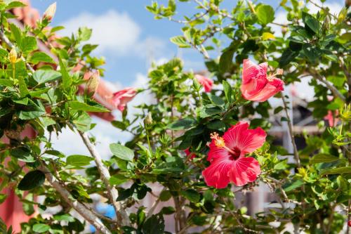 Hotel Pescatore Okinawa