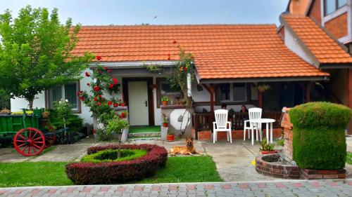 Apartman Deki