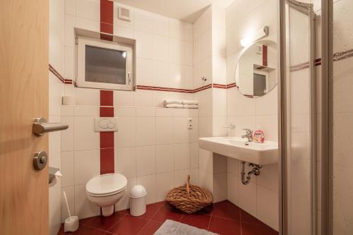 Apart Manuel - Apartment - Mayrhofen