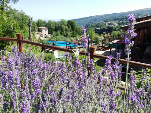 老房子乡间别墅 