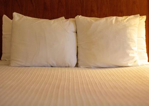 Best Western Plus A Wayfarer's Inn & Suites - image 7