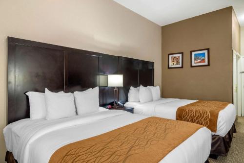 Comfort Inn & Suites Atlanta-Smyrna