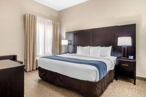 Comfort Inn & Suites Atlanta-Smyrna