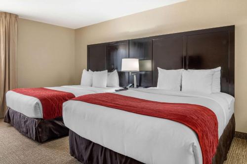 Comfort Inn & Suites Atlanta-Smyrna