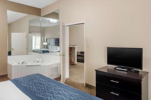 Comfort Inn & Suites Atlanta-Smyrna