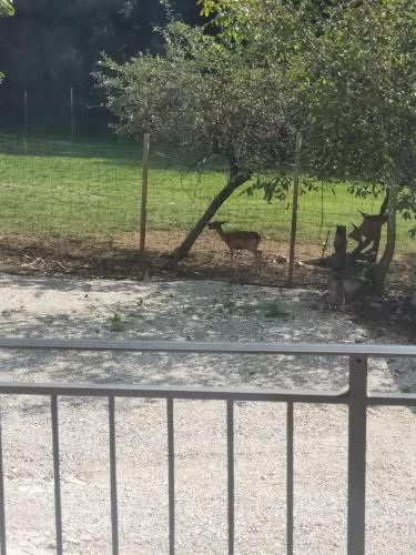Agriturismo de Poanute