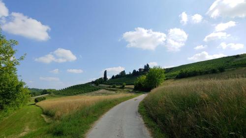 Bed and Breakfast La Volpe tra le Vigne