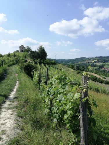 Apkārtne, Bed and Breakfast La Volpe tra le Vigne in Castelnuovo Don Bosco