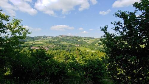 Apkārtne, Bed and Breakfast La Volpe tra le Vigne in Castelnuovo Don Bosco