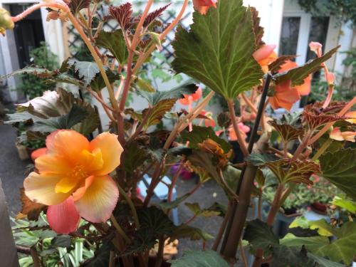 Hôtel Résidence Champerret - image 4