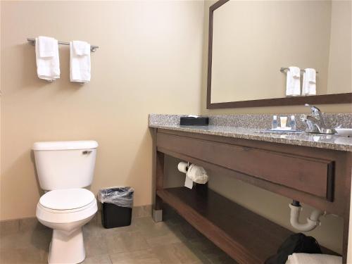 AmeriVu Inn and Suites - Chisago City