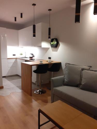 APARTAMENT DĄBSKA 24 TAURON ARENA, Cracovie (photo 3)