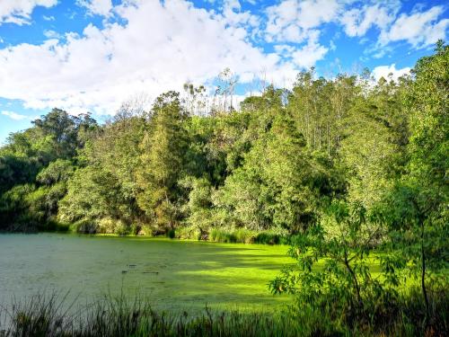 Fernhill Tented Treehouses Fernhill Tented Treehouses