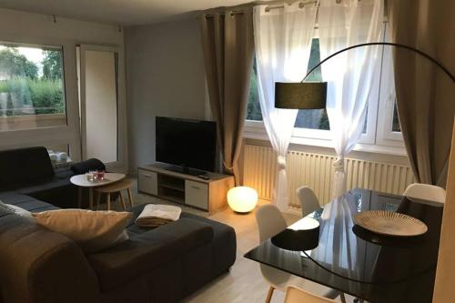Appartement, confortable, aux portes de Geneve - 86 rue de Meyrin, Ferney Voltaire