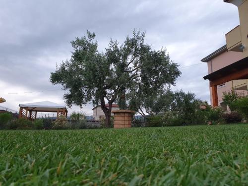 BB IL CIPPO - image 3