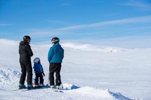 Sport i aktivnosti, Ski Lodge Tanndalen in Tanndalen