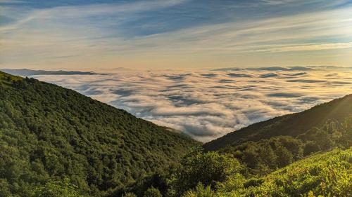 Gostynna Rodyna - image 12
