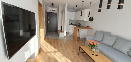 APARTAMENT DĄBSKA 24 TAURON ARENA, Cracovie (photo 8)