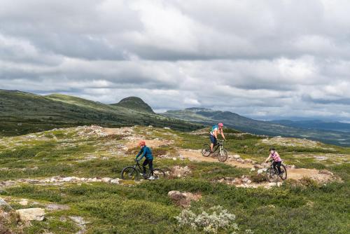 Lägenheter Hamrafjället Tänndalen