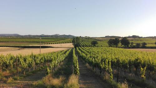 Agriturismo La Chiesina – Abbadia (Montepulciano), WI