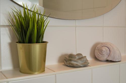 Southern PRIME Apartment - NETFLIX & WIFI incl.