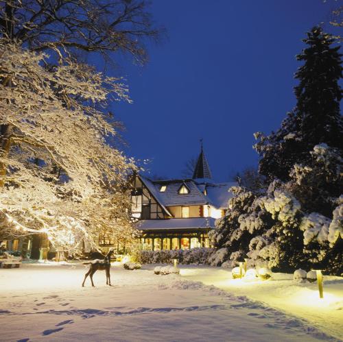 Romantik Hotel Jagdhaus Waldfrieden 3