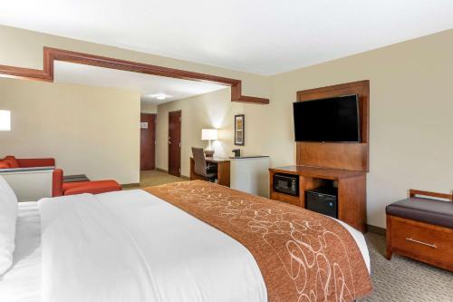 Room #49033710