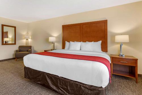 Comfort Inn & Suites Socorro - image 9